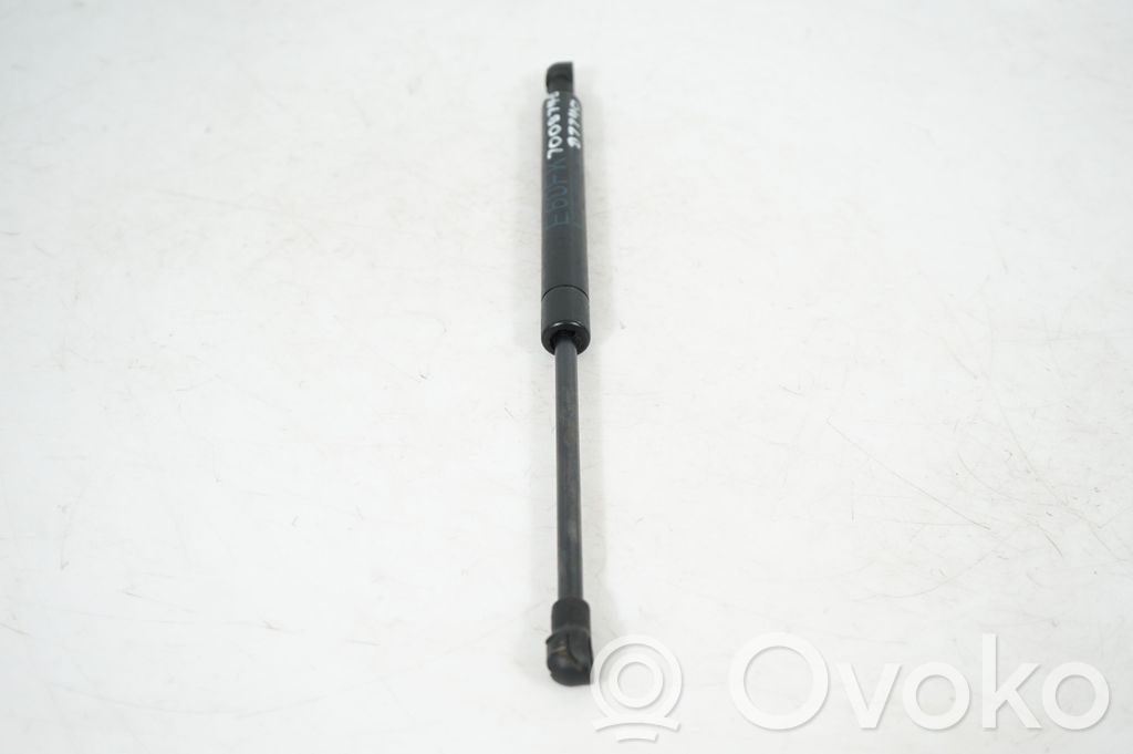 Front bonnet/hood damper/strut (4)