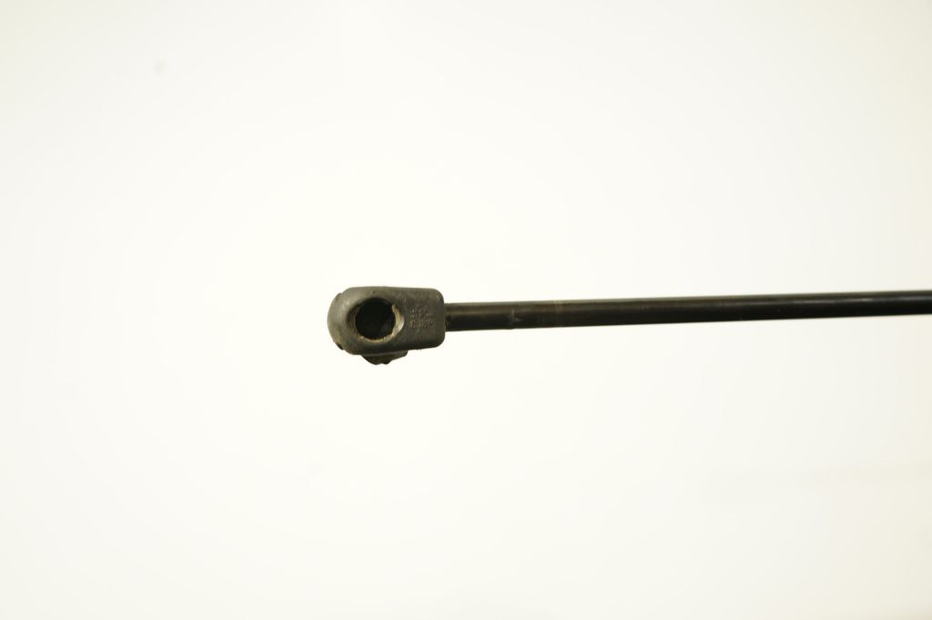 Tailgate/trunk strut/damper (6)