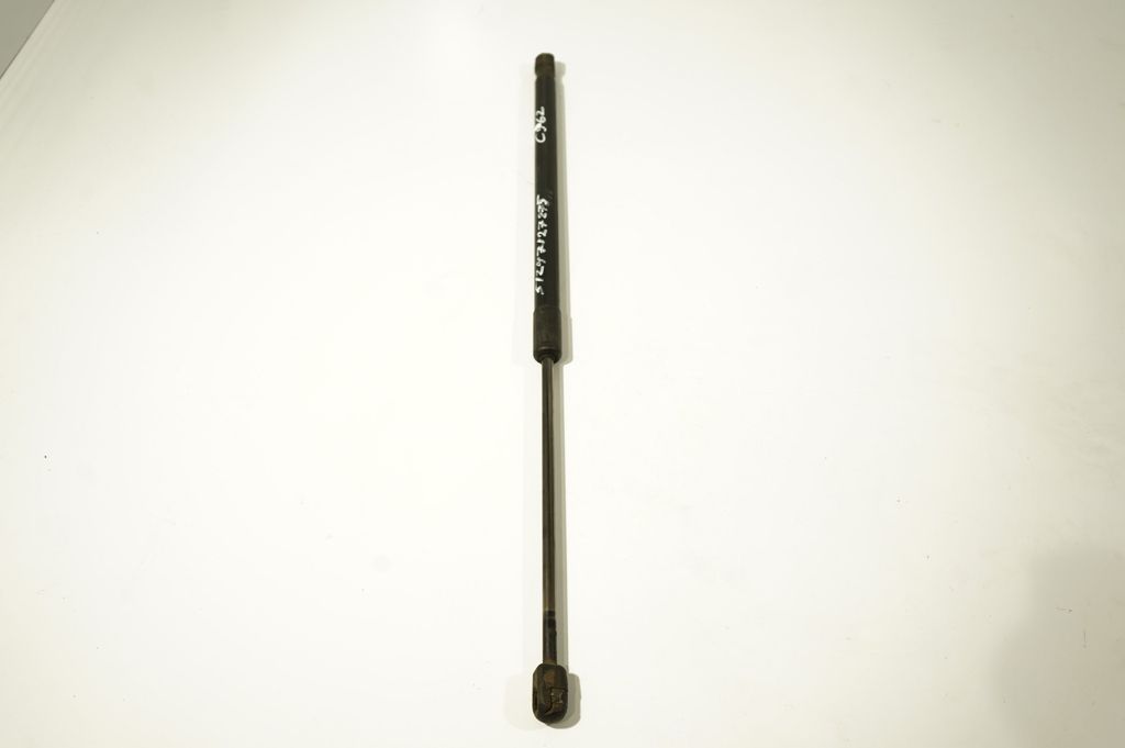 Tailgate/trunk strut/damper (4)