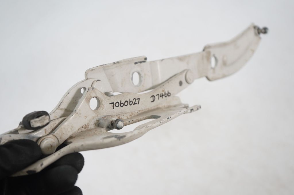 Tailgate/trunk/boot hinge (6)
