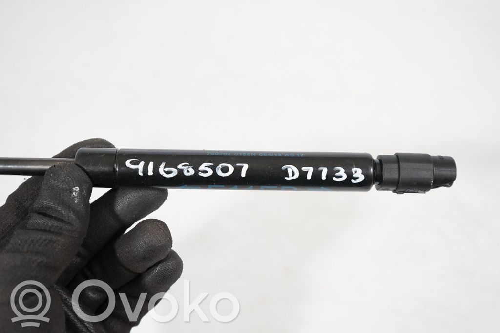 Tailgate/trunk strut/damper (7)