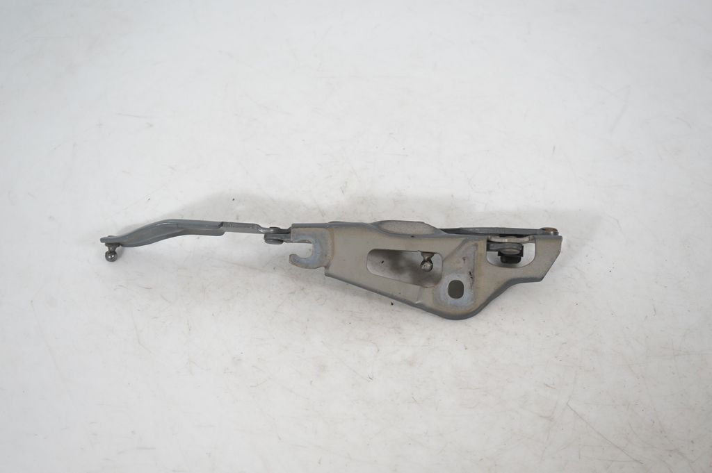 Tailgate/trunk/boot hinge (5)