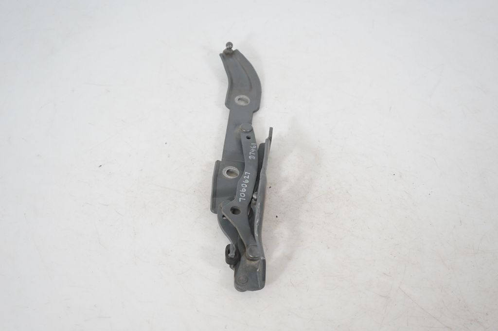 Tailgate/trunk/boot hinge (4)