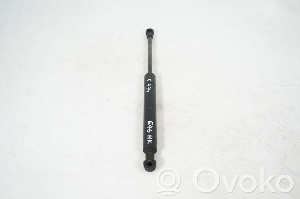 Front bonnet/hood damper/strut (3)