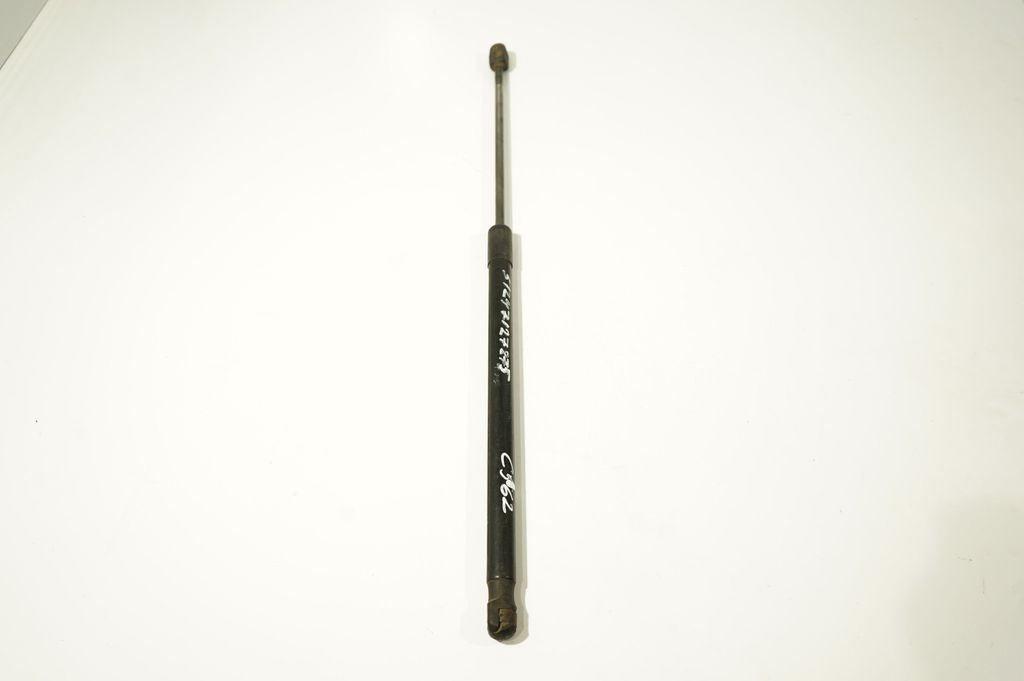 Tailgate/trunk strut/damper (2)