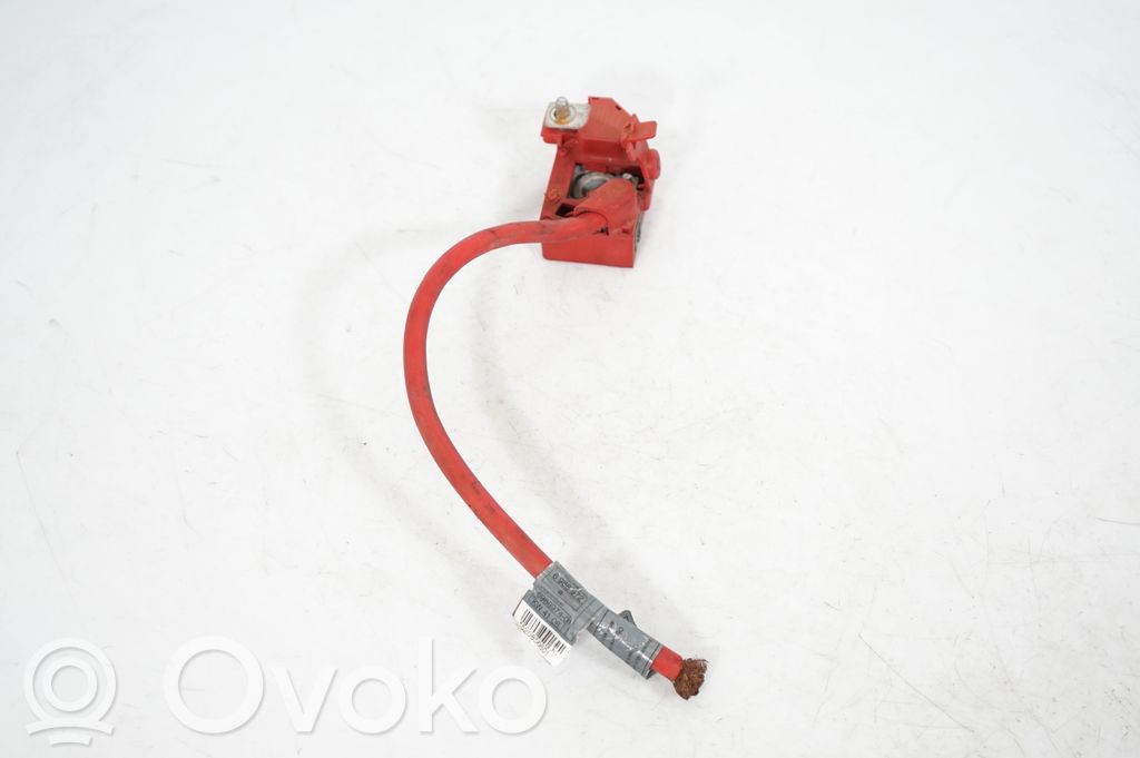 Positive cable (battery) (2)