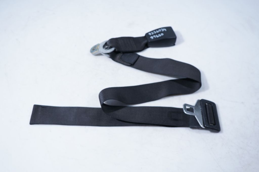 Rear seatbelt buckle (10)