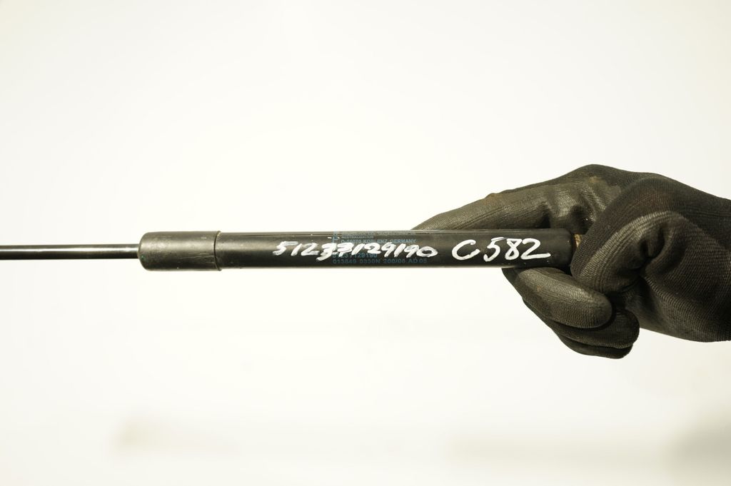 Front bonnet/hood damper/strut (9)