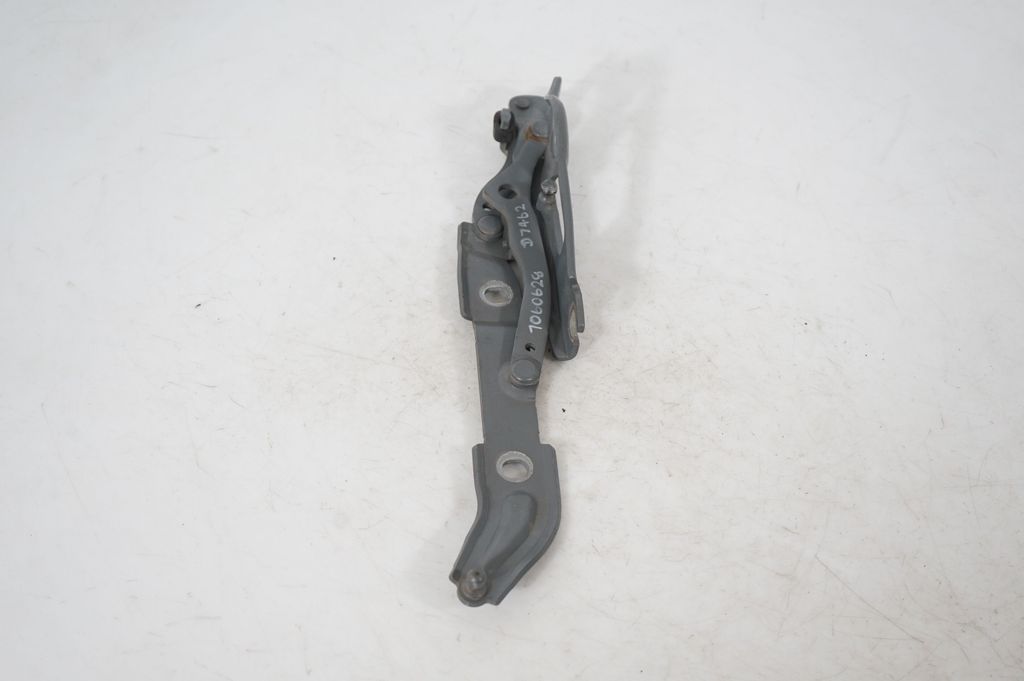 Tailgate/trunk/boot hinge (4)