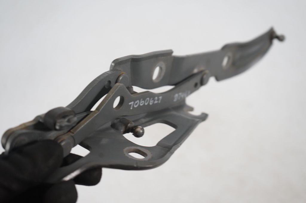 Tailgate/trunk/boot hinge (6)