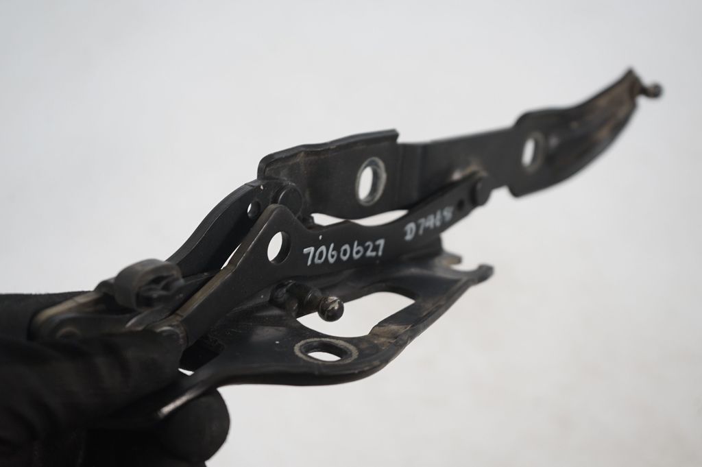 Tailgate/trunk/boot hinge (6)