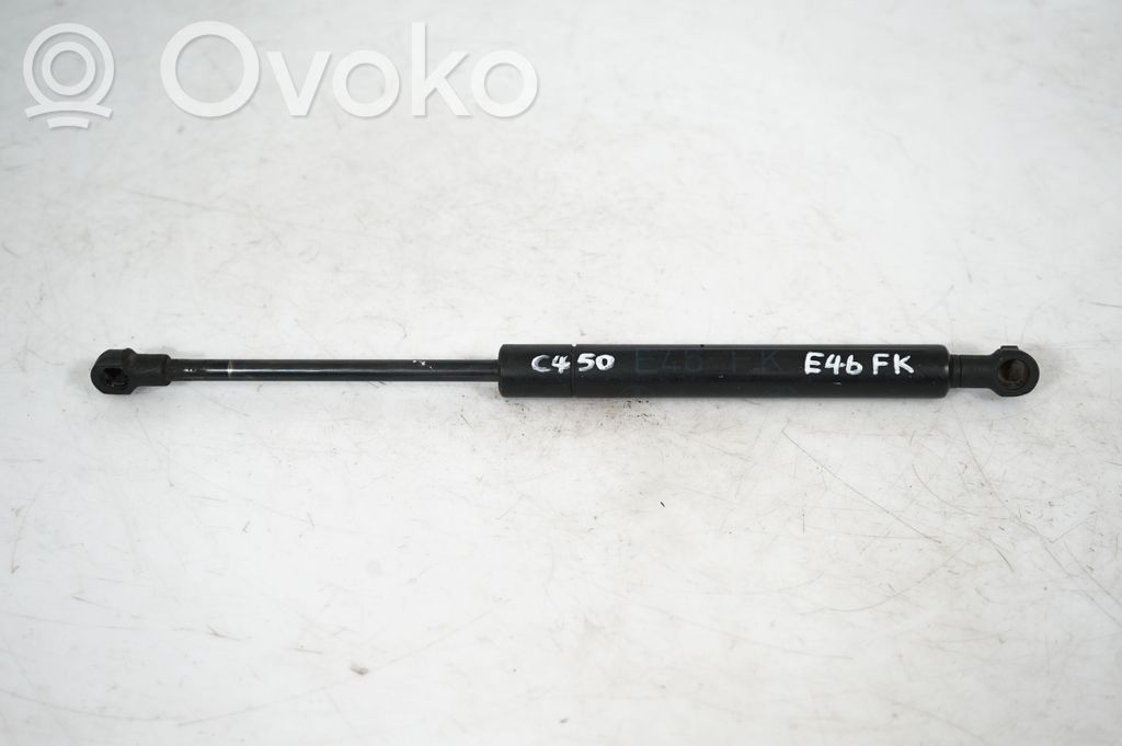 Front bonnet/hood damper/strut