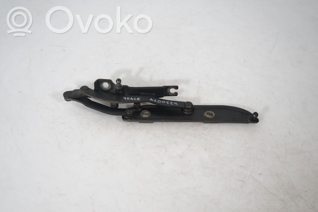 Tailgate/trunk/boot hinge (3)