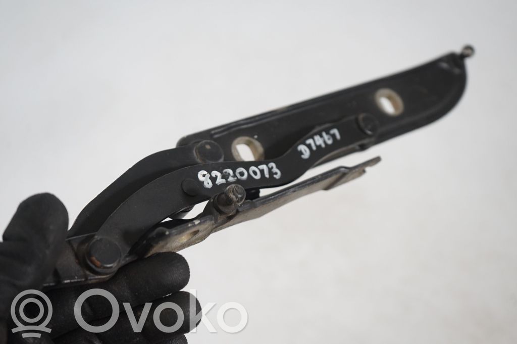 Tailgate/trunk/boot hinge (6)