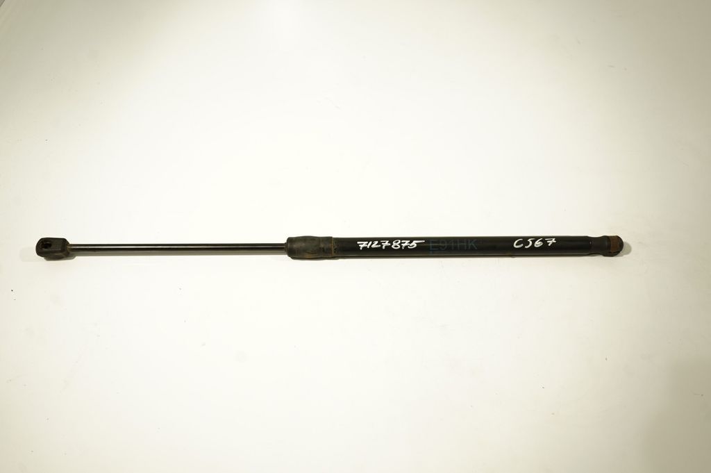 Tailgate/trunk strut/damper (5)