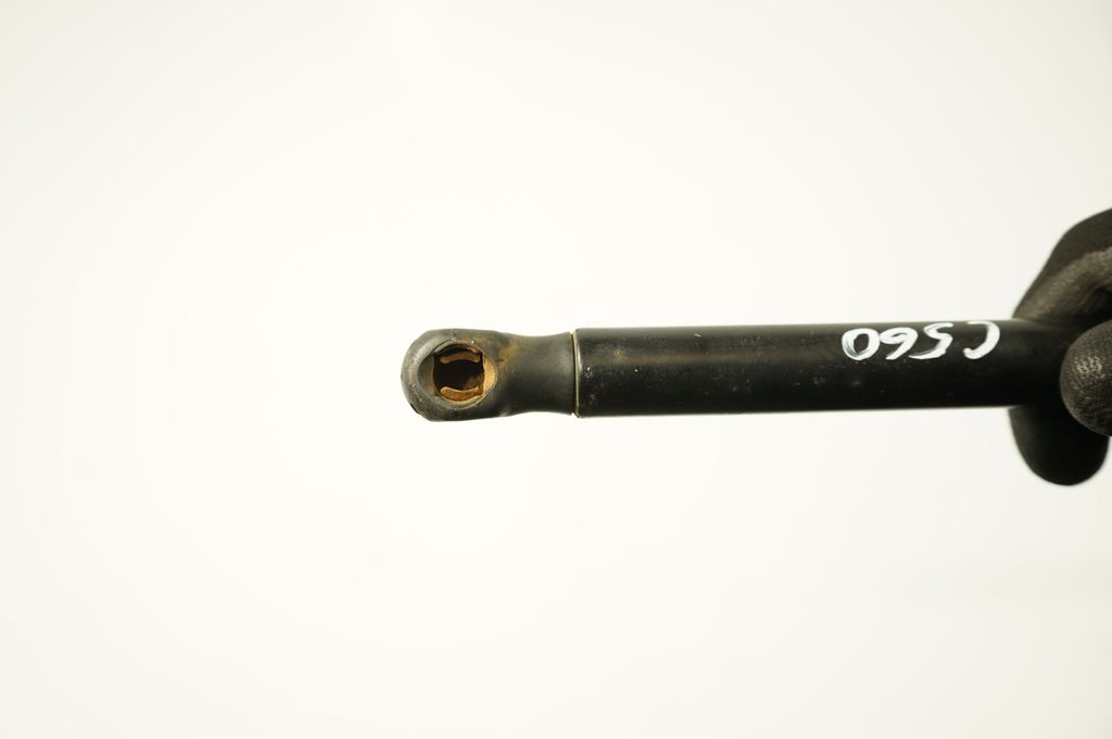 Tailgate/trunk strut/damper (7)