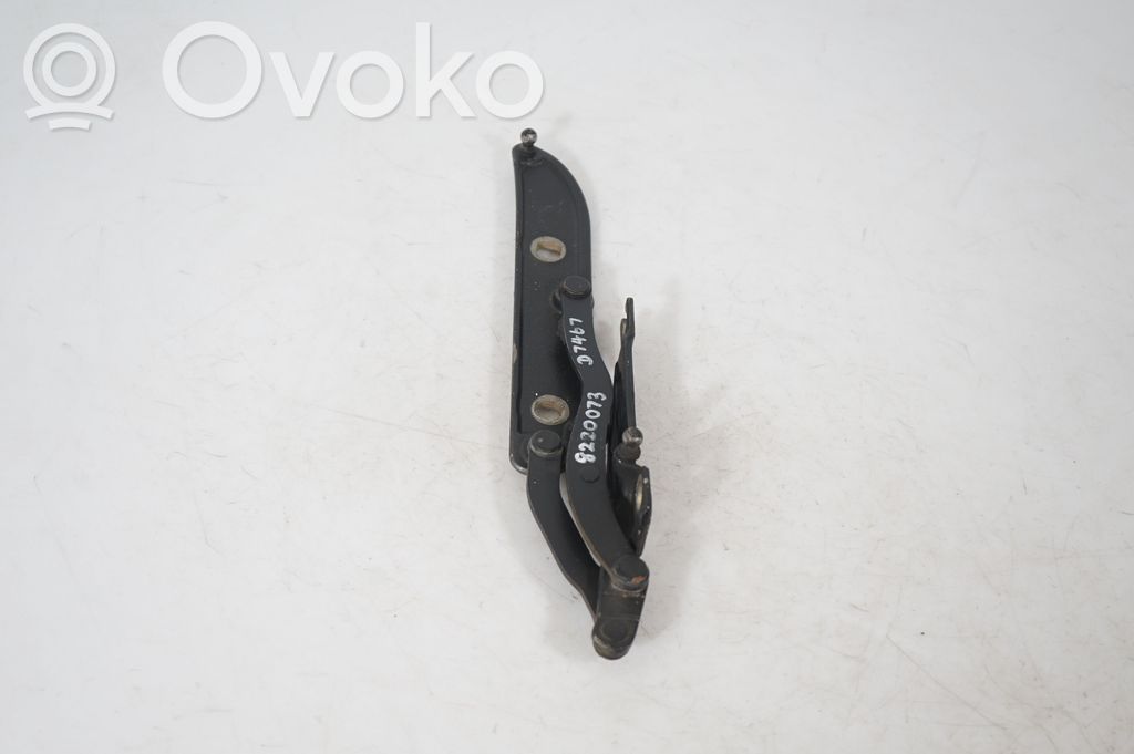 Tailgate/trunk/boot hinge (4)