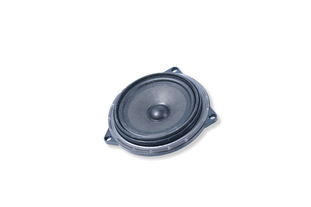 Rear door speaker