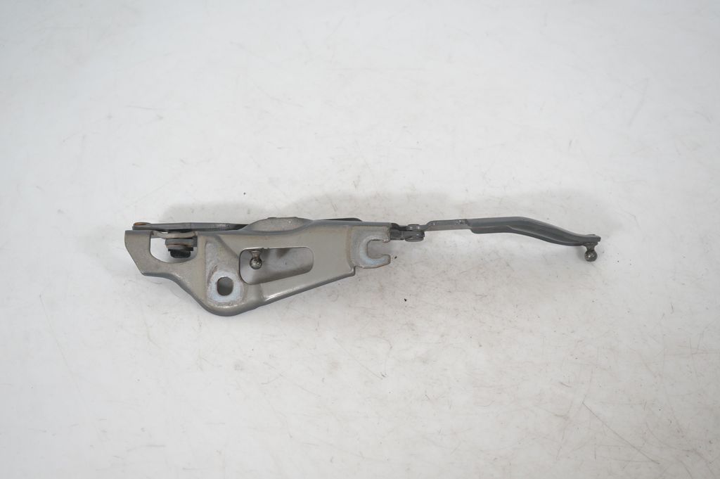 Tailgate/trunk/boot hinge (5)
