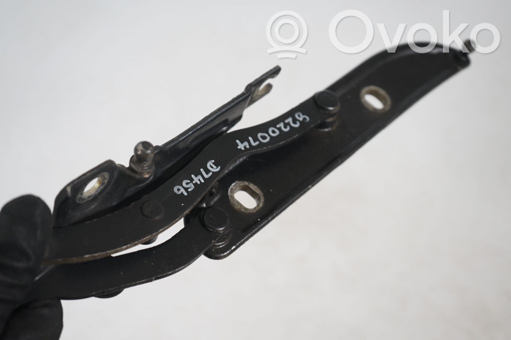 Tailgate/trunk/boot hinge (7)