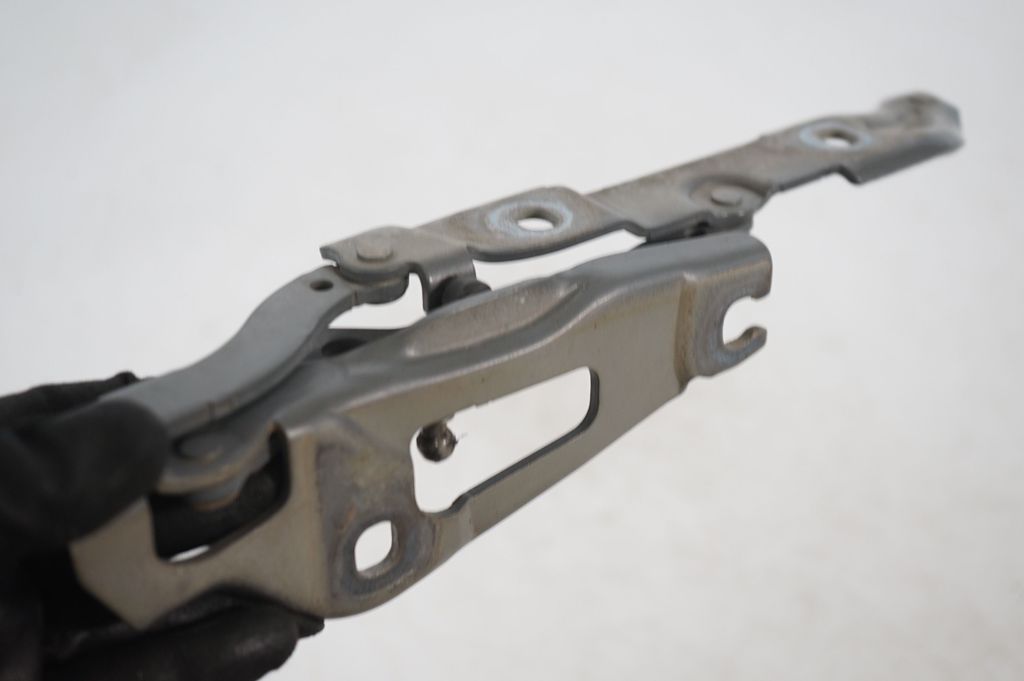 Tailgate/trunk/boot hinge (7)