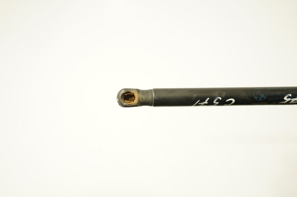 Tailgate/trunk strut/damper (7)