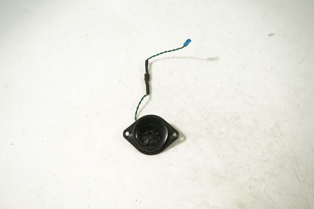 Front door speaker (5)