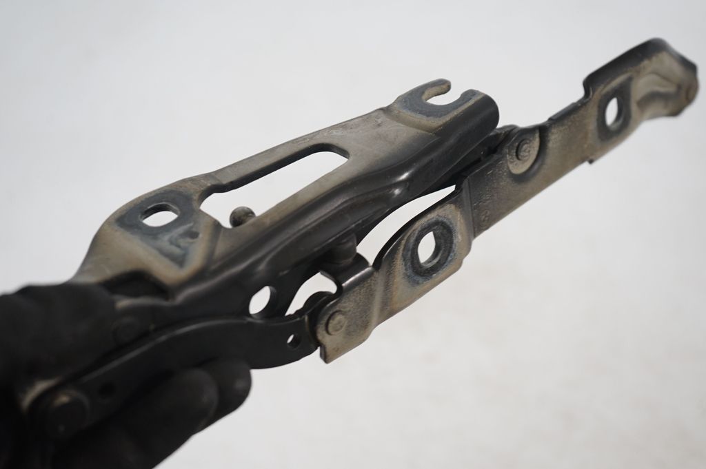 Tailgate/trunk/boot hinge (7)