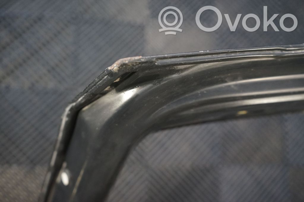 Tailgate/trunk/boot lid (10)