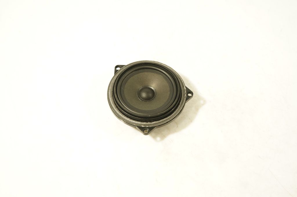 Front door speaker (2)