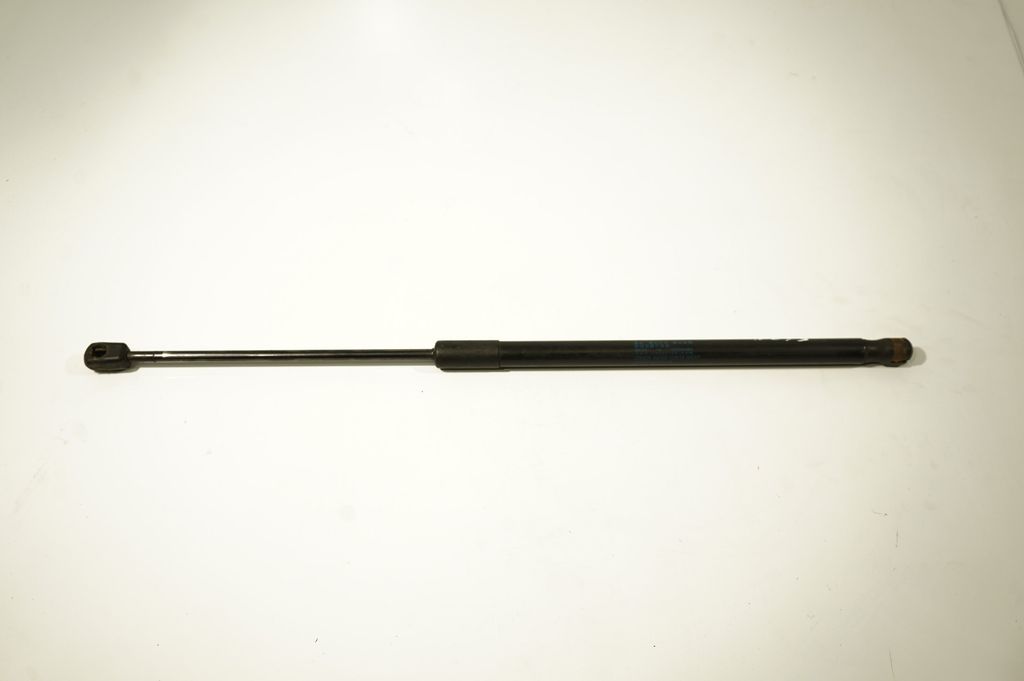 Tailgate/trunk strut/damper (5)