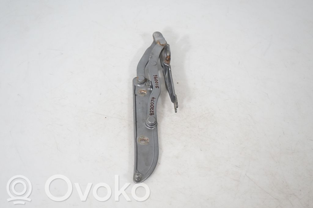 Tailgate/trunk/boot hinge (4)