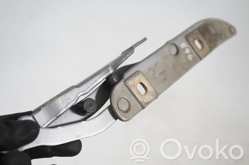 Tailgate/trunk/boot hinge (7)