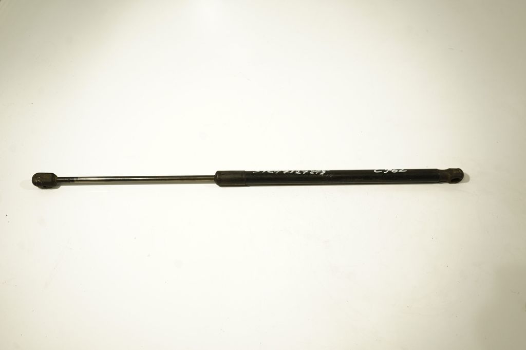 Tailgate/trunk strut/damper (5)