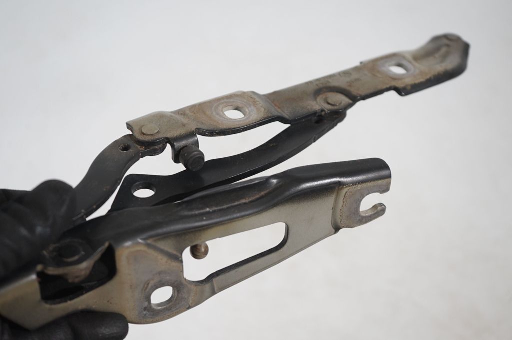 Tailgate/trunk/boot hinge (7)