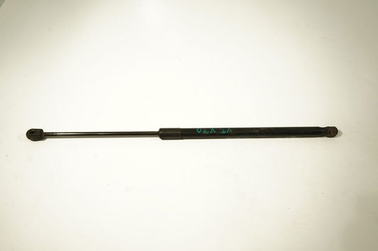 Tailgate/trunk strut/damper
