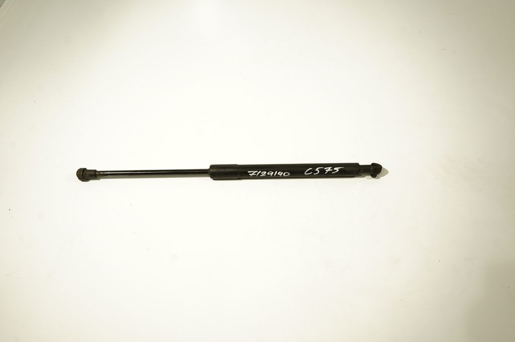 Front bonnet/hood damper/strut