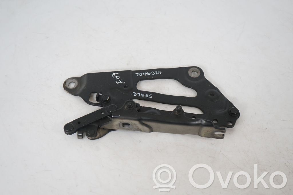 Engine bonnet/hood hinges