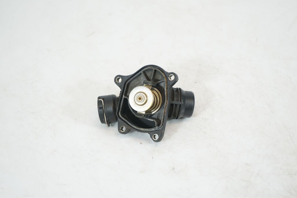 Thermostat/thermostat housing (5)