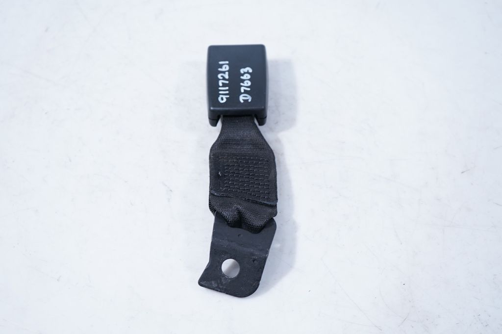 Rear seatbelt buckle (4)