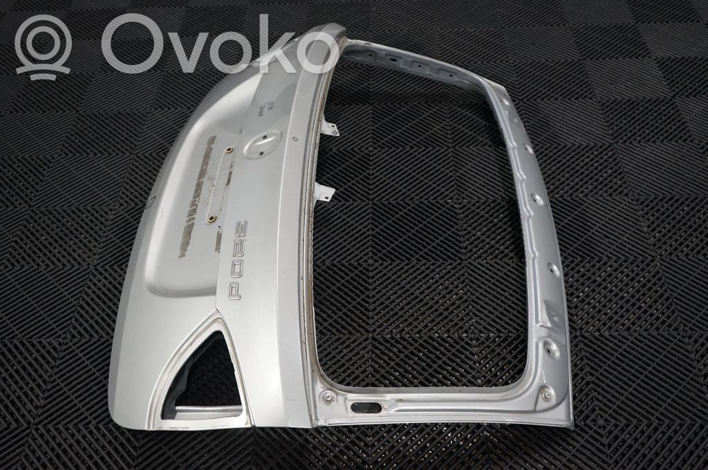 Tailgate/trunk/boot lid (2)