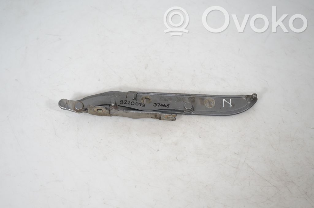 Tailgate/trunk/boot hinge