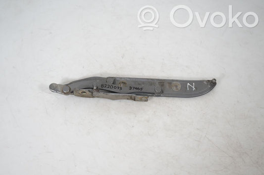 Tailgate/trunk/boot hinge