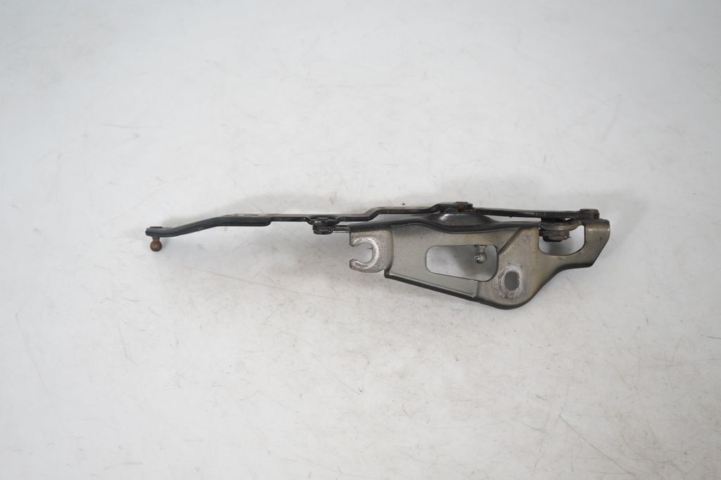 Tailgate/trunk/boot hinge (5)