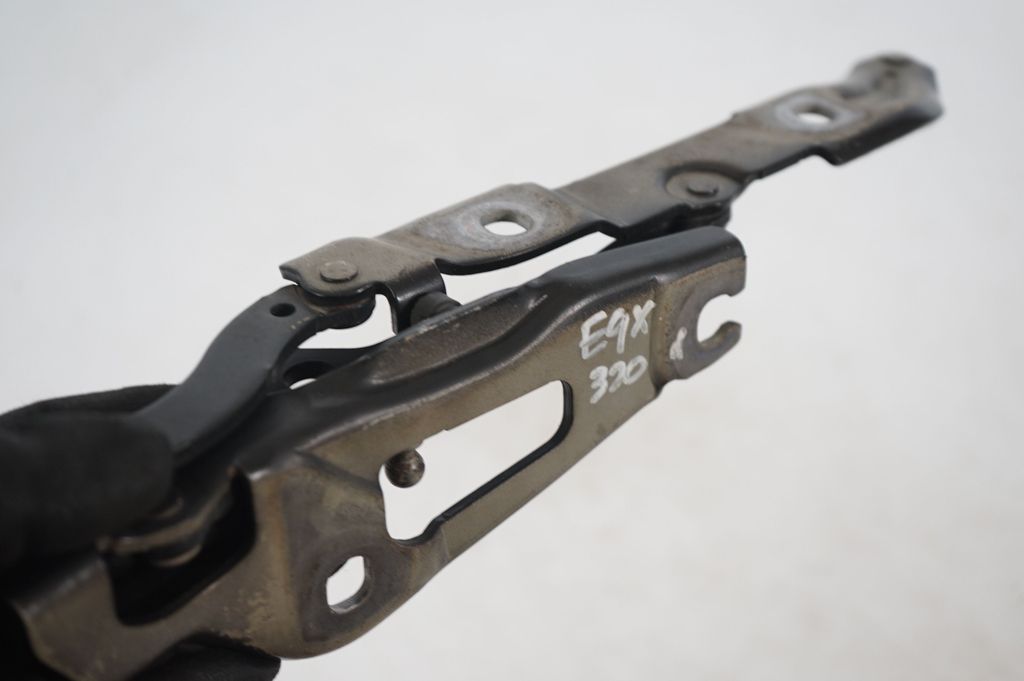 Tailgate/trunk/boot hinge (7)
