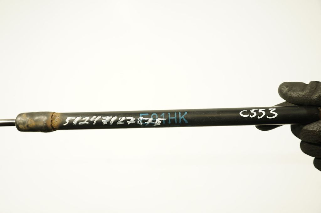 Tailgate/trunk strut/damper (9)
