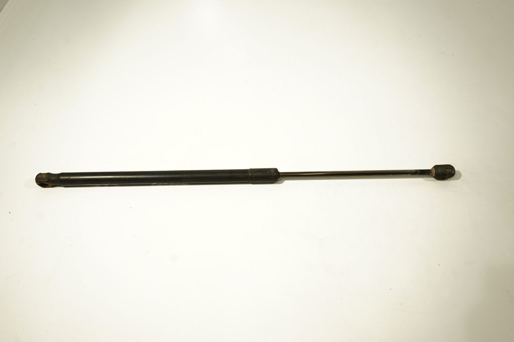 Tailgate/trunk strut/damper (3)