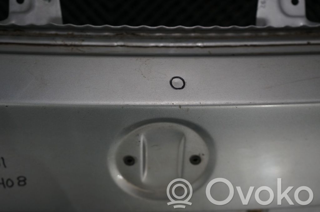 Tailgate/trunk/boot lid (9)