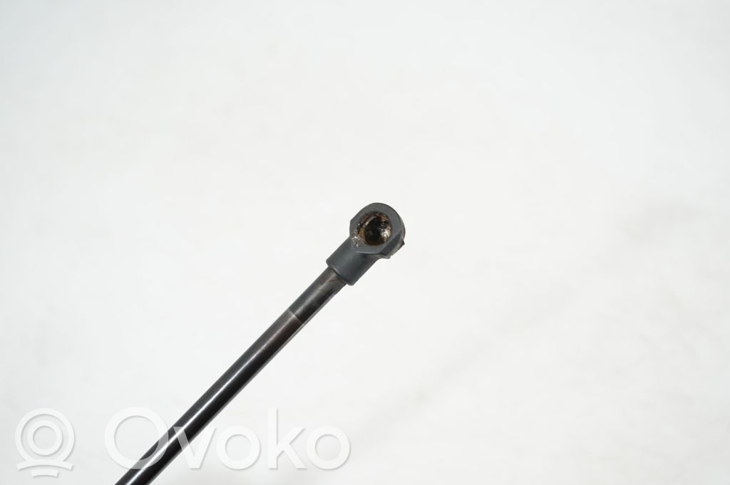 Front bonnet/hood damper/strut (5)