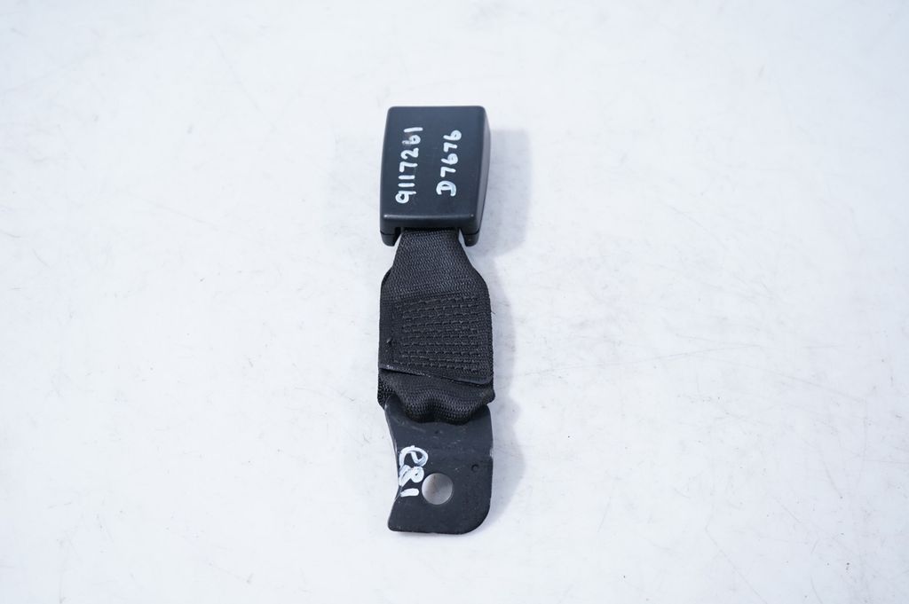 Rear seatbelt buckle (4)